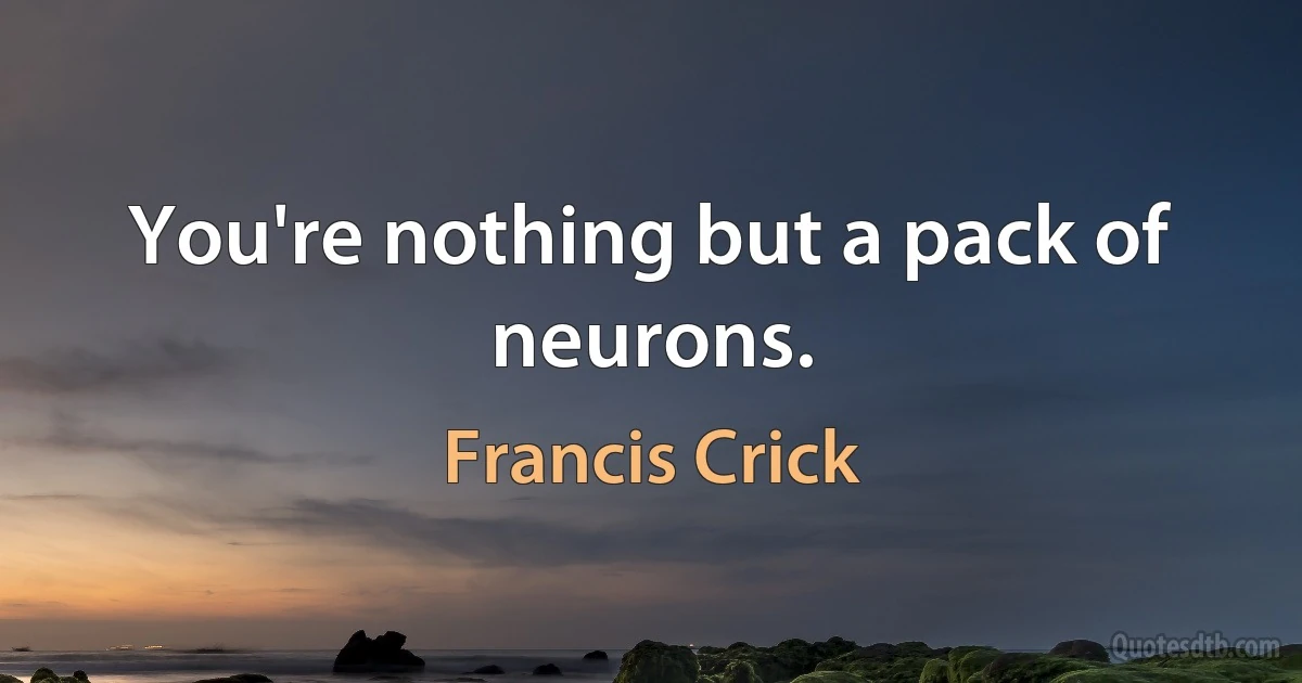 You're nothing but a pack of neurons. (Francis Crick)