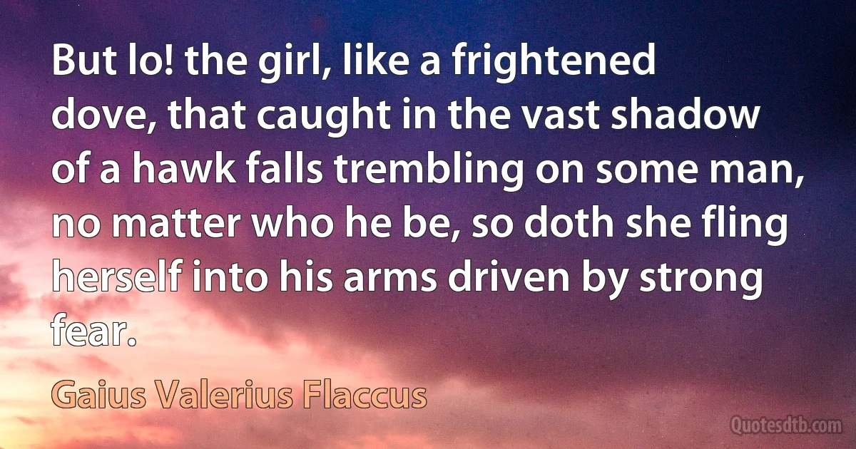 But lo! the girl, like a frightened dove, that caught in the vast shadow of a hawk falls trembling on some man, no matter who he be, so doth she fling herself into his arms driven by strong fear. (Gaius Valerius Flaccus)