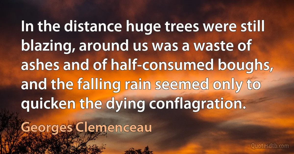 In the distance huge trees were still blazing, around us was a waste of ashes and of half-consumed boughs, and the falling rain seemed only to quicken the dying conflagration. (Georges Clemenceau)