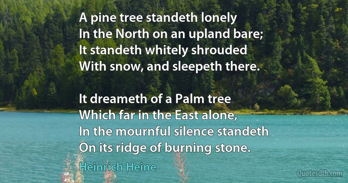 A pine tree standeth lonely
In the North on an upland bare;
It standeth whitely shrouded
With snow, and sleepeth there.

It dreameth of a Palm tree
Which far in the East alone,
In the mournful silence standeth
On its ridge of burning stone. (Heinrich Heine)