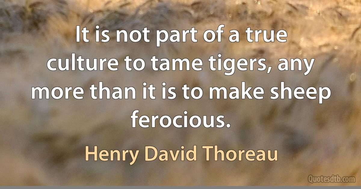 It is not part of a true culture to tame tigers, any more than it is to make sheep ferocious. (Henry David Thoreau)