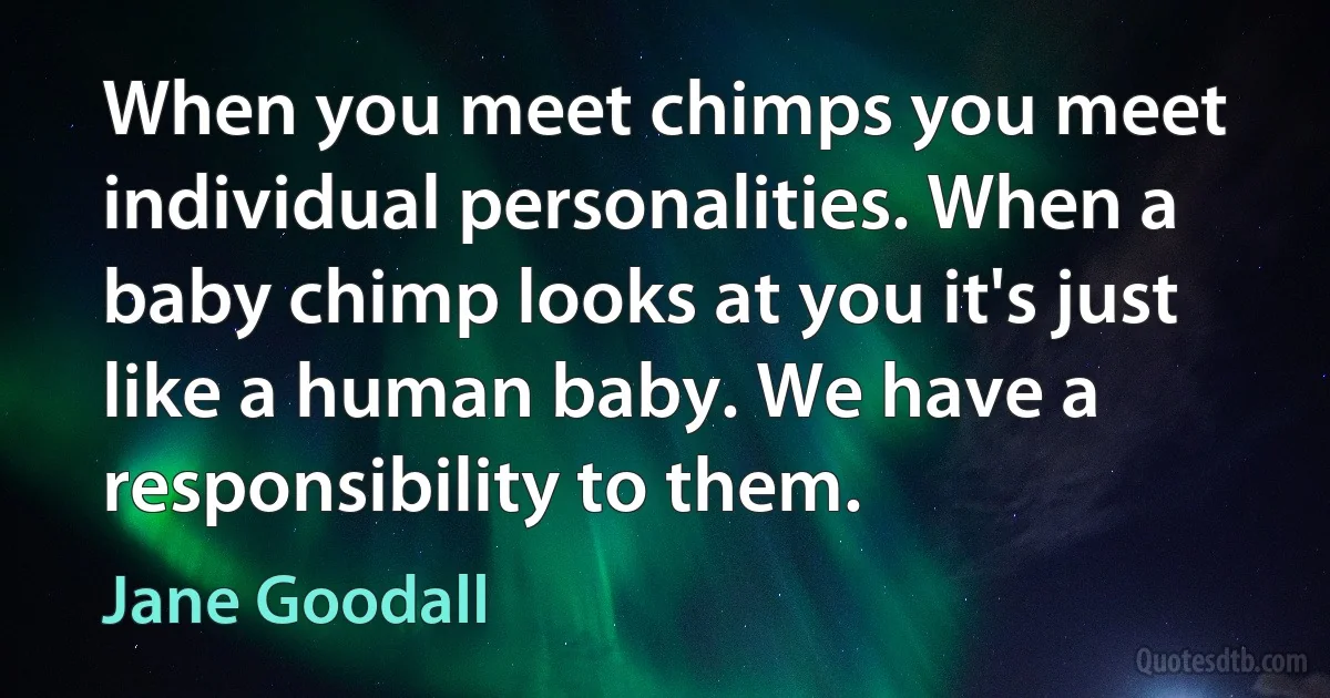 When you meet chimps you meet individual personalities. When a baby chimp looks at you it's just like a human baby. We have a responsibility to them. (Jane Goodall)