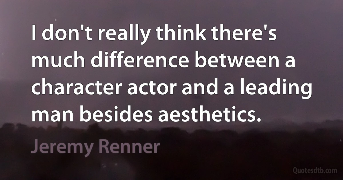 I don't really think there's much difference between a character actor and a leading man besides aesthetics. (Jeremy Renner)