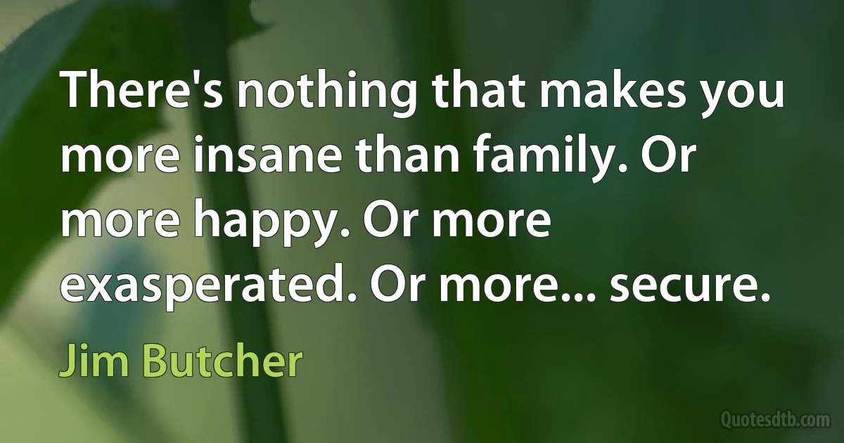 There's nothing that makes you more insane than family. Or more happy. Or more exasperated. Or more... secure. (Jim Butcher)