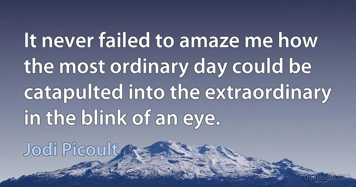 It never failed to amaze me how the most ordinary day could be catapulted into the extraordinary in the blink of an eye. (Jodi Picoult)