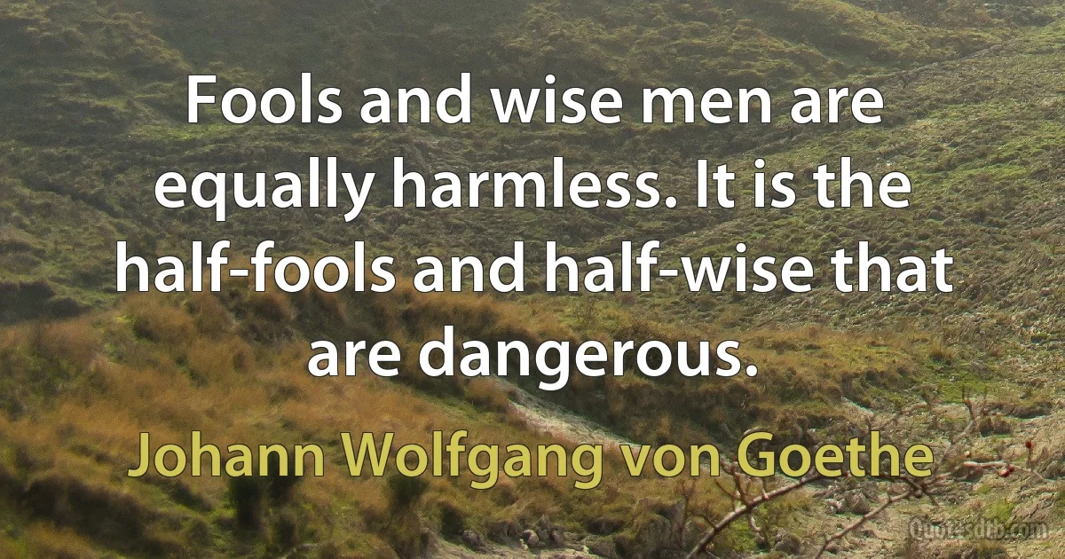 Fools and wise men are equally harmless. It is the half-fools and half-wise that are dangerous. (Johann Wolfgang von Goethe)