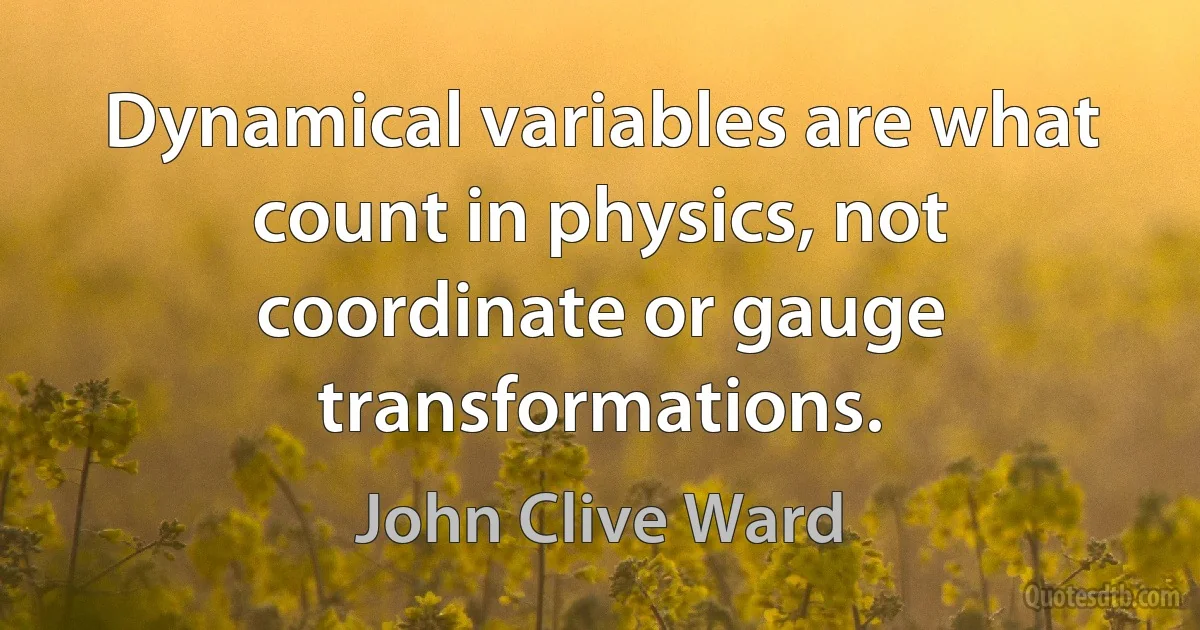 Dynamical variables are what count in physics, not coordinate or gauge transformations. (John Clive Ward)