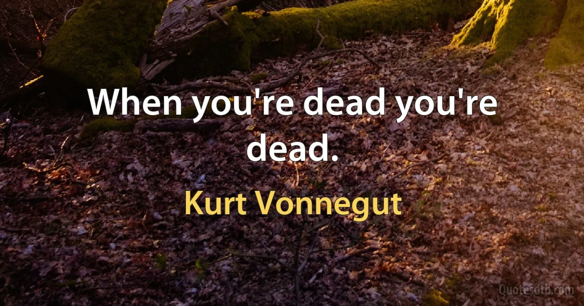 When you're dead you're dead. (Kurt Vonnegut)