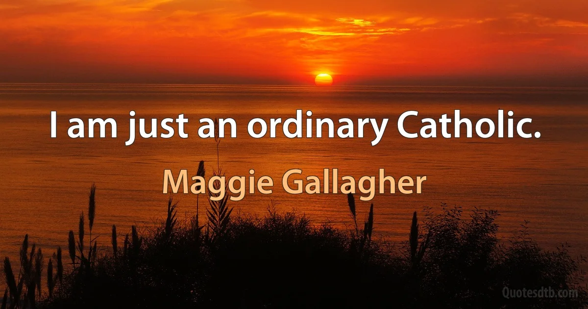 I am just an ordinary Catholic. (Maggie Gallagher)