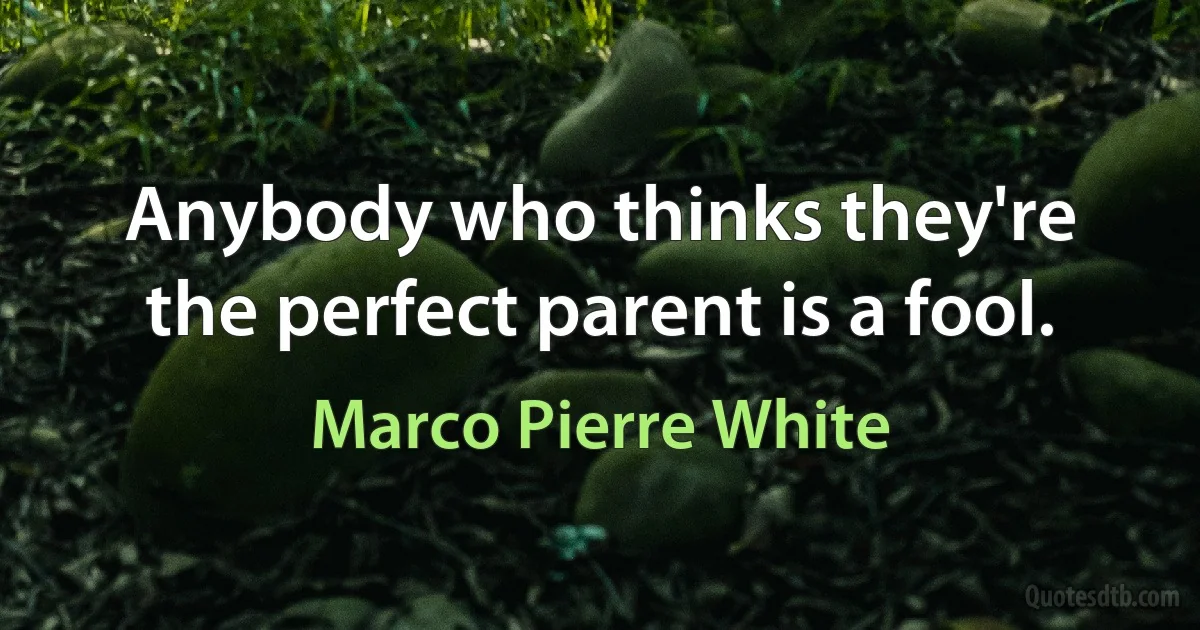 Anybody who thinks they're the perfect parent is a fool. (Marco Pierre White)