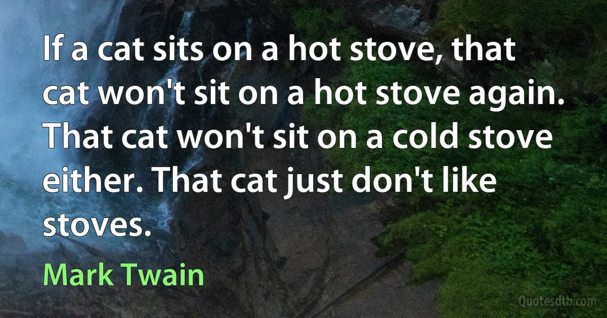 If a cat sits on a hot stove, that cat won't sit on a hot stove again. That cat won't sit on a cold stove either. That cat just don't like stoves. (Mark Twain)