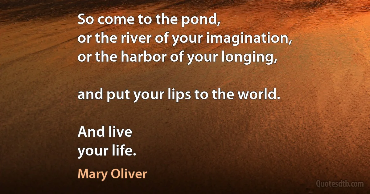 So come to the pond,
or the river of your imagination,
or the harbor of your longing,

and put your lips to the world.

And live
your life. (Mary Oliver)