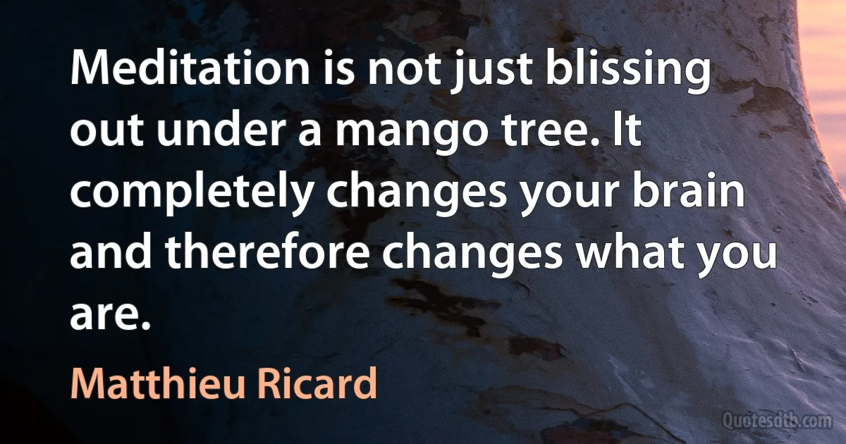 Meditation is not just blissing out under a mango tree. It completely changes your brain and therefore changes what you are. (Matthieu Ricard)