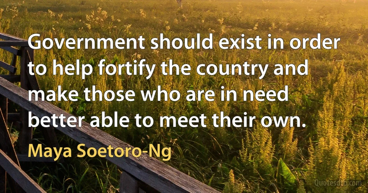 Government should exist in order to help fortify the country and make those who are in need better able to meet their own. (Maya Soetoro-Ng)