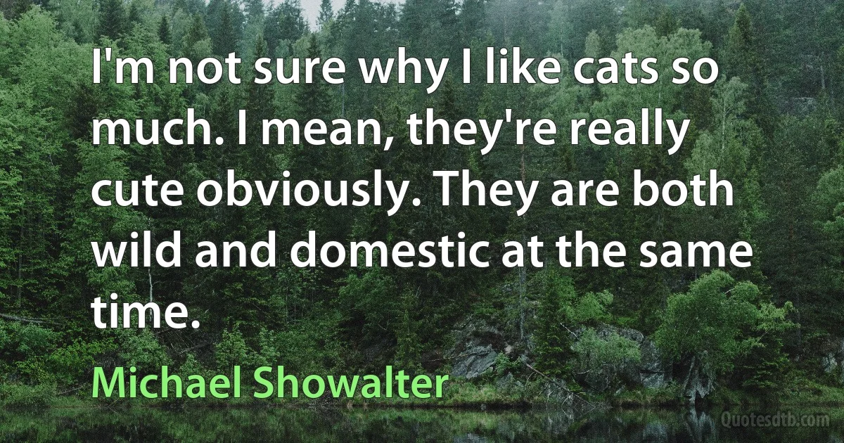 I'm not sure why I like cats so much. I mean, they're really cute obviously. They are both wild and domestic at the same time. (Michael Showalter)