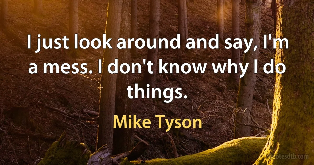 I just look around and say, I'm a mess. I don't know why I do things. (Mike Tyson)