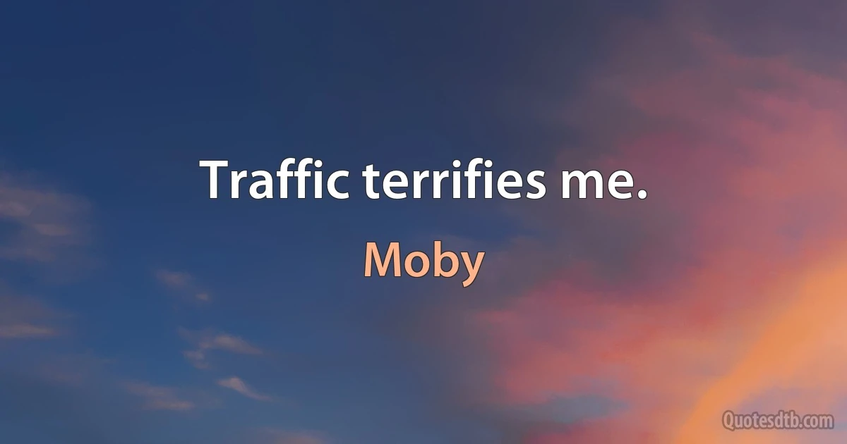 Traffic terrifies me. (Moby)