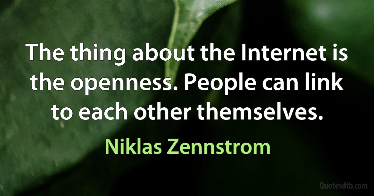 The thing about the Internet is the openness. People can link to each other themselves. (Niklas Zennstrom)