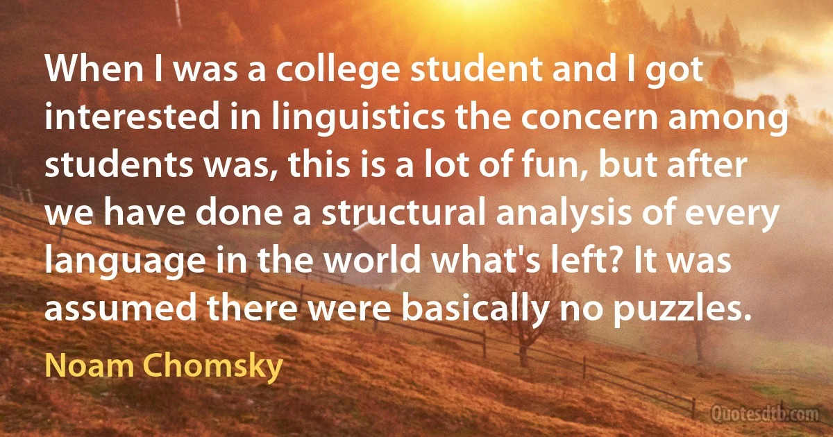 When I was a college student and I got interested in linguistics the concern among students was, this is a lot of fun, but after we have done a structural analysis of every language in the world what's left? It was assumed there were basically no puzzles. (Noam Chomsky)