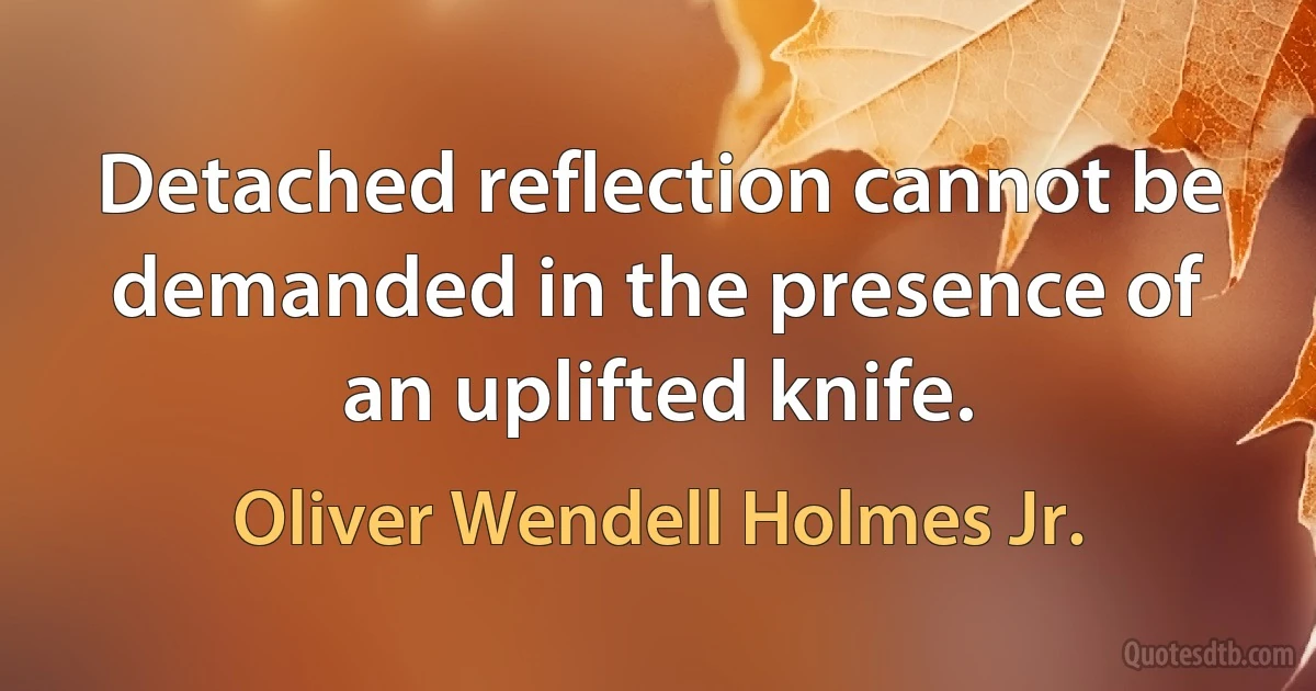 Detached reflection cannot be demanded in the presence of an uplifted knife. (Oliver Wendell Holmes Jr.)