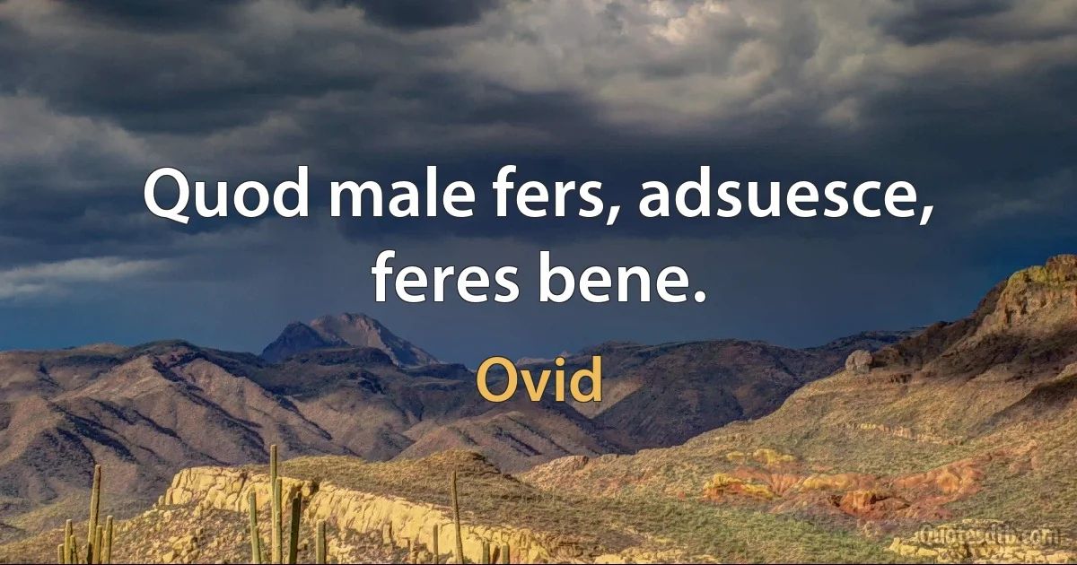 Quod male fers, adsuesce, feres bene. (Ovid)