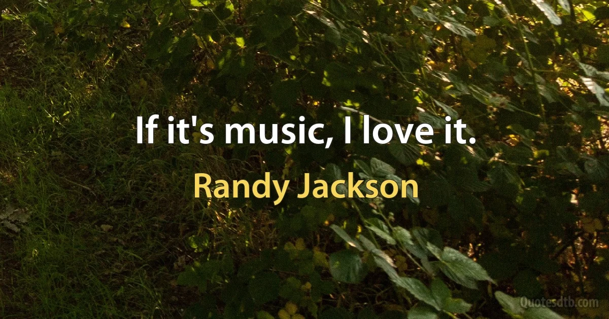 If it's music, I love it. (Randy Jackson)