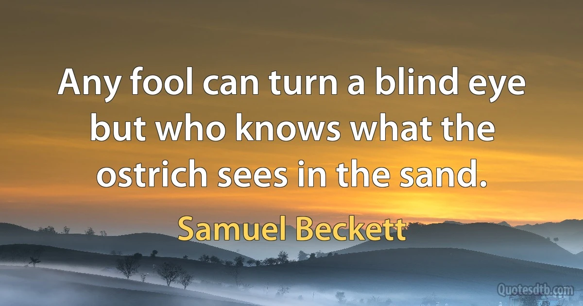 Any fool can turn a blind eye but who knows what the ostrich sees in the sand. (Samuel Beckett)