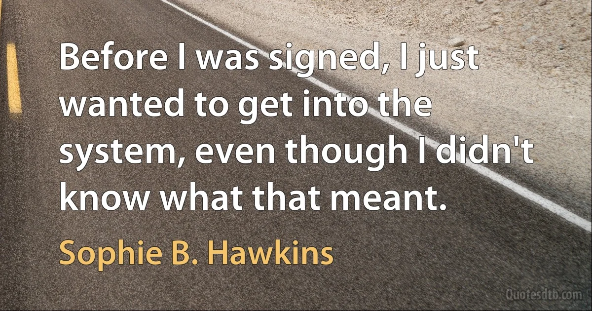 Before I was signed, I just wanted to get into the system, even though I didn't know what that meant. (Sophie B. Hawkins)