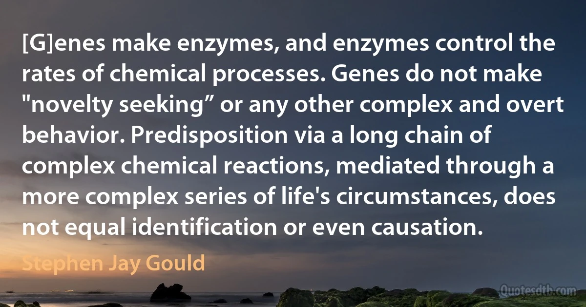 [G]enes make enzymes, and enzymes control the rates of chemical processes. Genes do not make "novelty seeking” or any other complex and overt behavior. Predisposition via a long chain of complex chemical reactions, mediated through a more complex series of life's circumstances, does not equal identification or even causation. (Stephen Jay Gould)