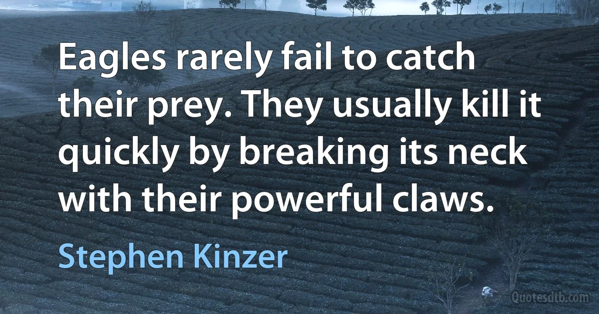 Eagles rarely fail to catch their prey. They usually kill it quickly by breaking its neck with their powerful claws. (Stephen Kinzer)