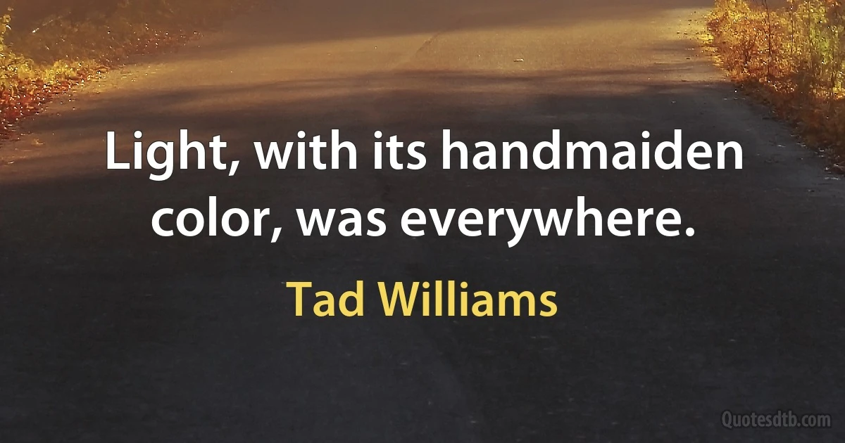 Light, with its handmaiden color, was everywhere. (Tad Williams)