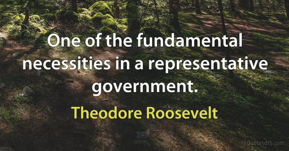 One of the fundamental necessities in a representative government. (Theodore Roosevelt)