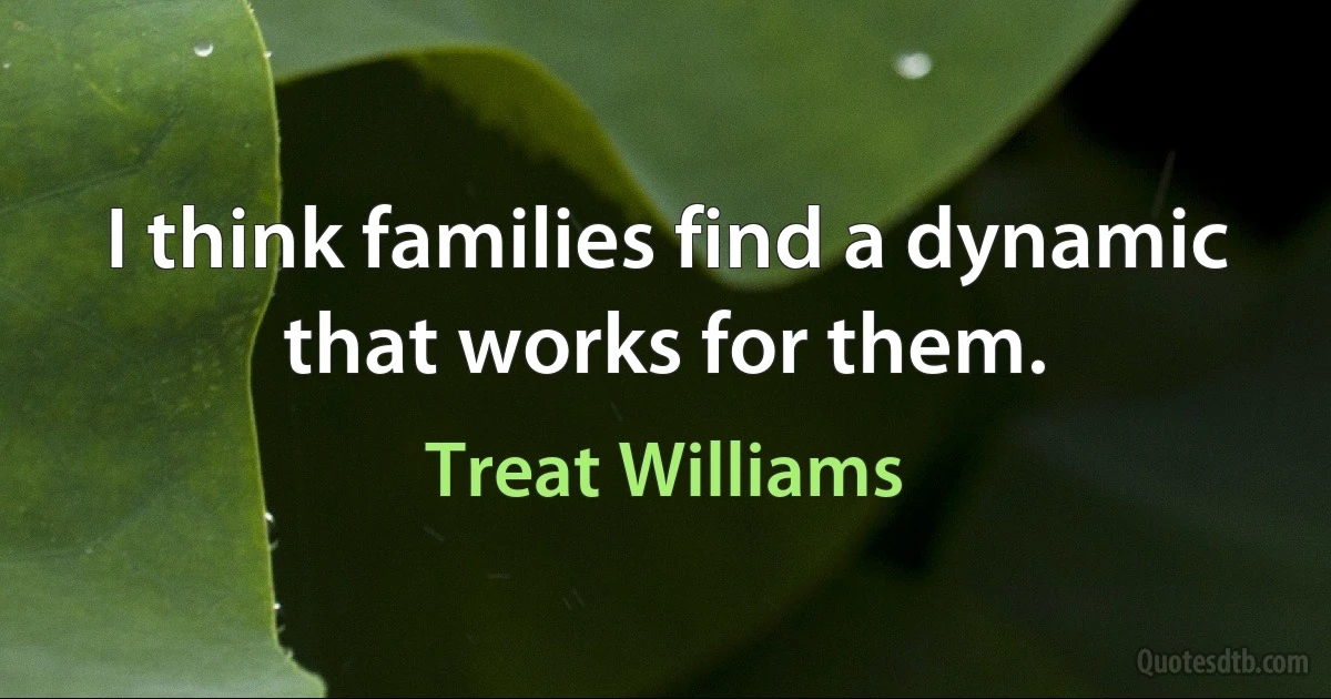 I think families find a dynamic that works for them. (Treat Williams)