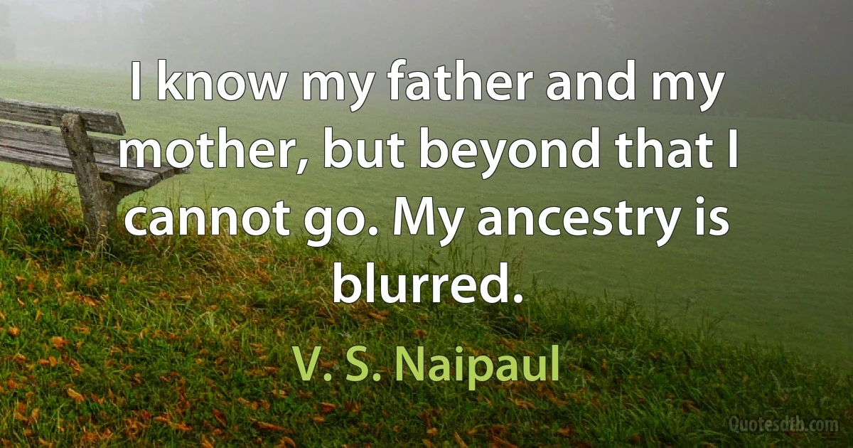 I know my father and my mother, but beyond that I cannot go. My ancestry is blurred. (V. S. Naipaul)