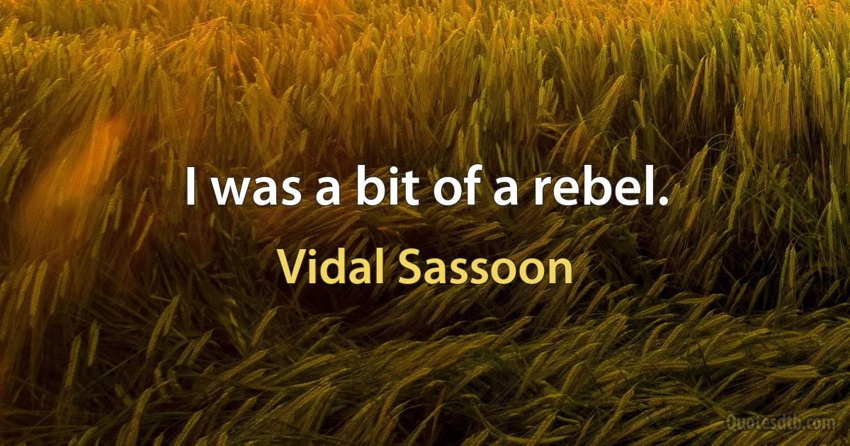 I was a bit of a rebel. (Vidal Sassoon)