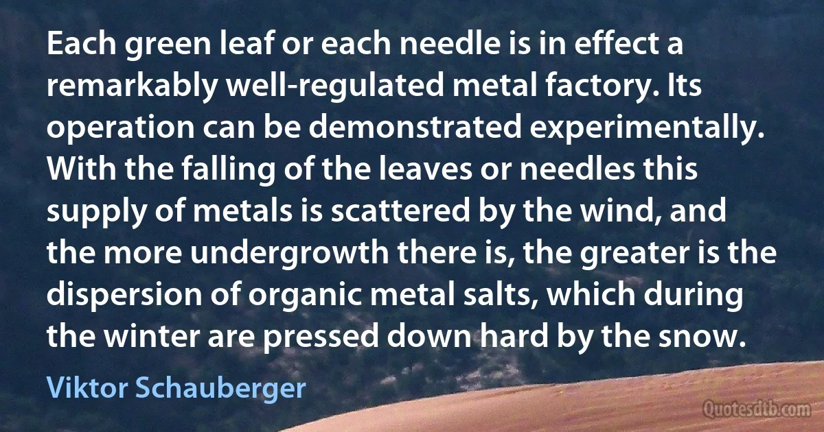 Each green leaf or each needle is in effect a remarkably well-regulated metal factory. Its operation can be demonstrated experimentally. With the falling of the leaves or needles this supply of metals is scattered by the wind, and the more undergrowth there is, the greater is the dispersion of organic metal salts, which during the winter are pressed down hard by the snow. (Viktor Schauberger)