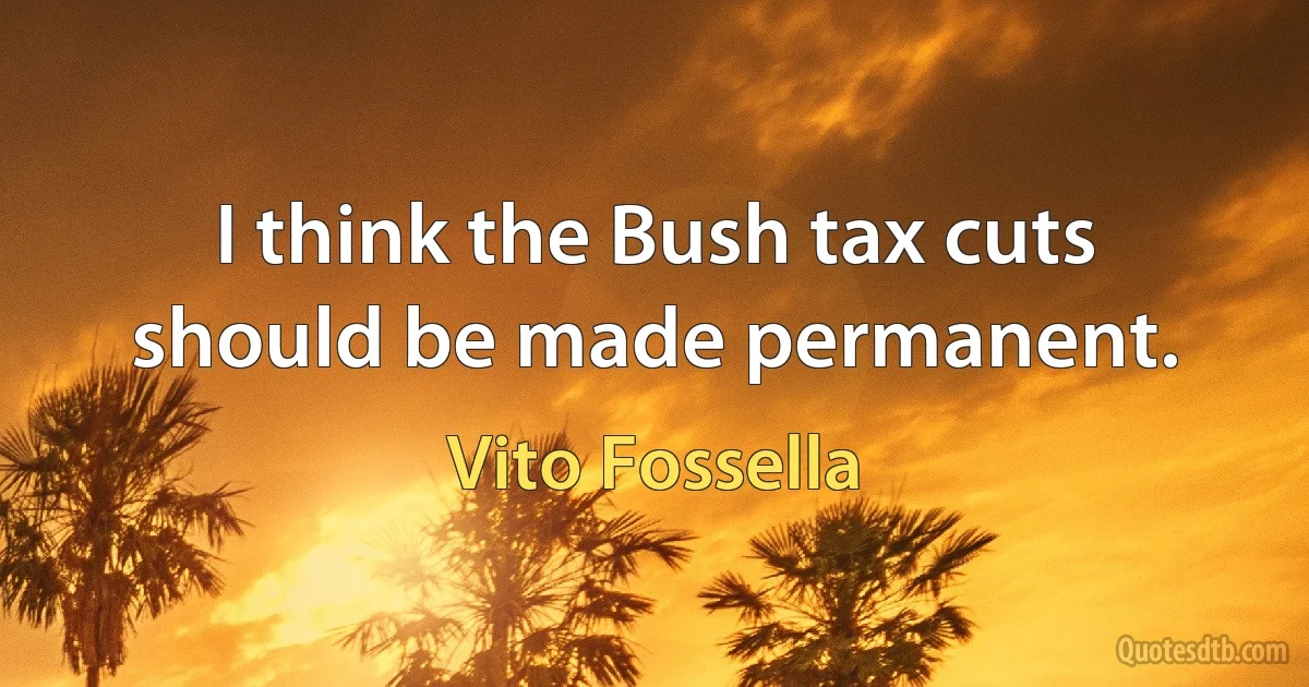 I think the Bush tax cuts should be made permanent. (Vito Fossella)