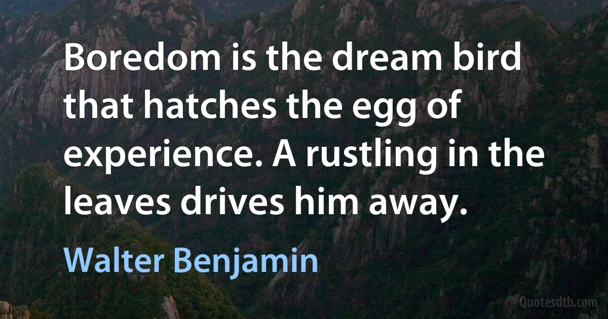 Boredom is the dream bird that hatches the egg of experience. A rustling in the leaves drives him away. (Walter Benjamin)