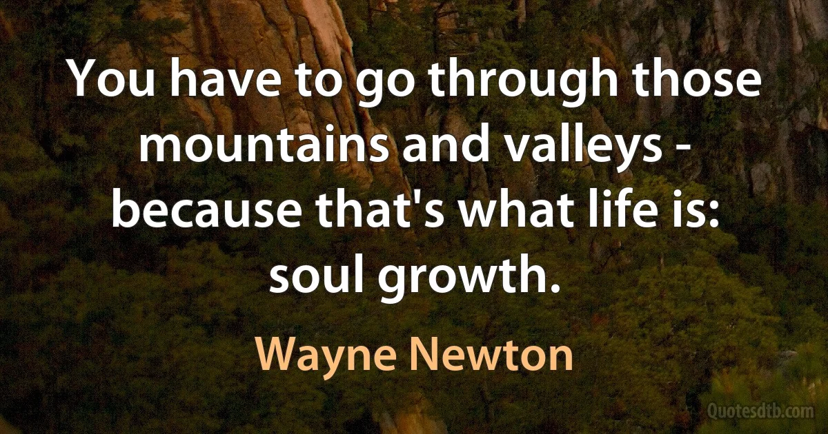 You have to go through those mountains and valleys - because that's what life is: soul growth. (Wayne Newton)