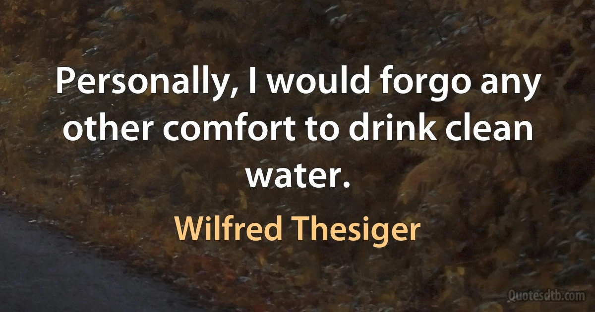 Personally, I would forgo any other comfort to drink clean water. (Wilfred Thesiger)