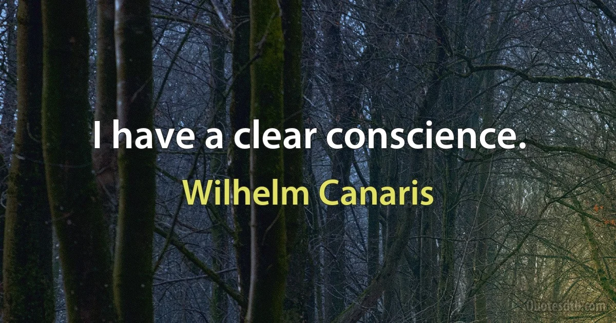 I have a clear conscience. (Wilhelm Canaris)