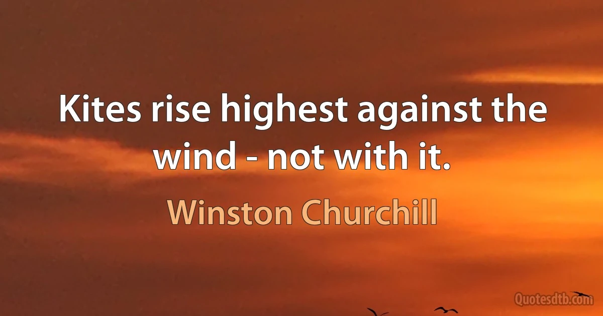 Kites rise highest against the wind - not with it. (Winston Churchill)