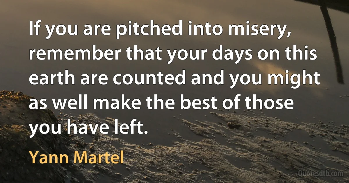 If you are pitched into misery, remember that your days on this earth are counted and you might as well make the best of those you have left. (Yann Martel)