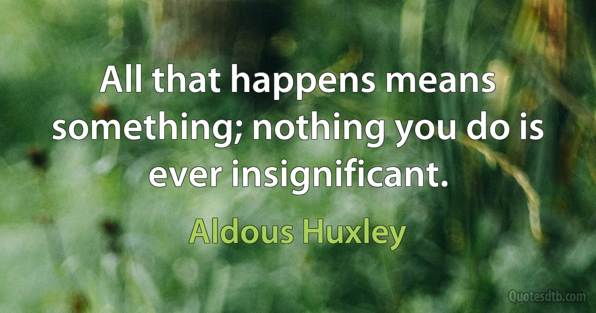 All that happens means something; nothing you do is ever insignificant. (Aldous Huxley)