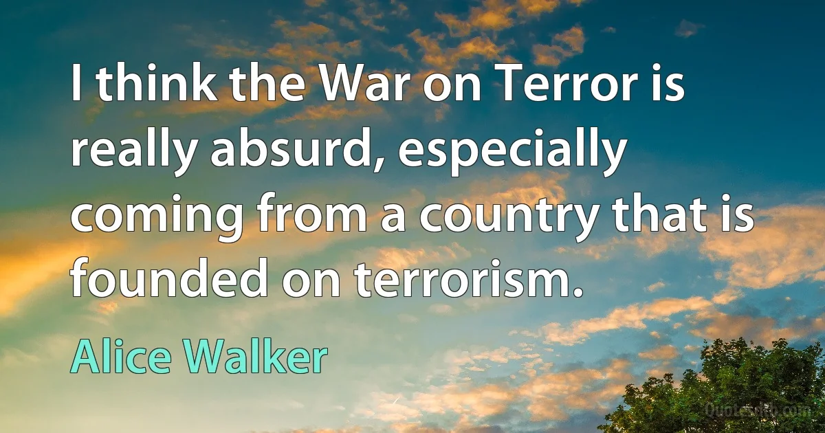 I think the War on Terror is really absurd, especially coming from a country that is founded on terrorism. (Alice Walker)