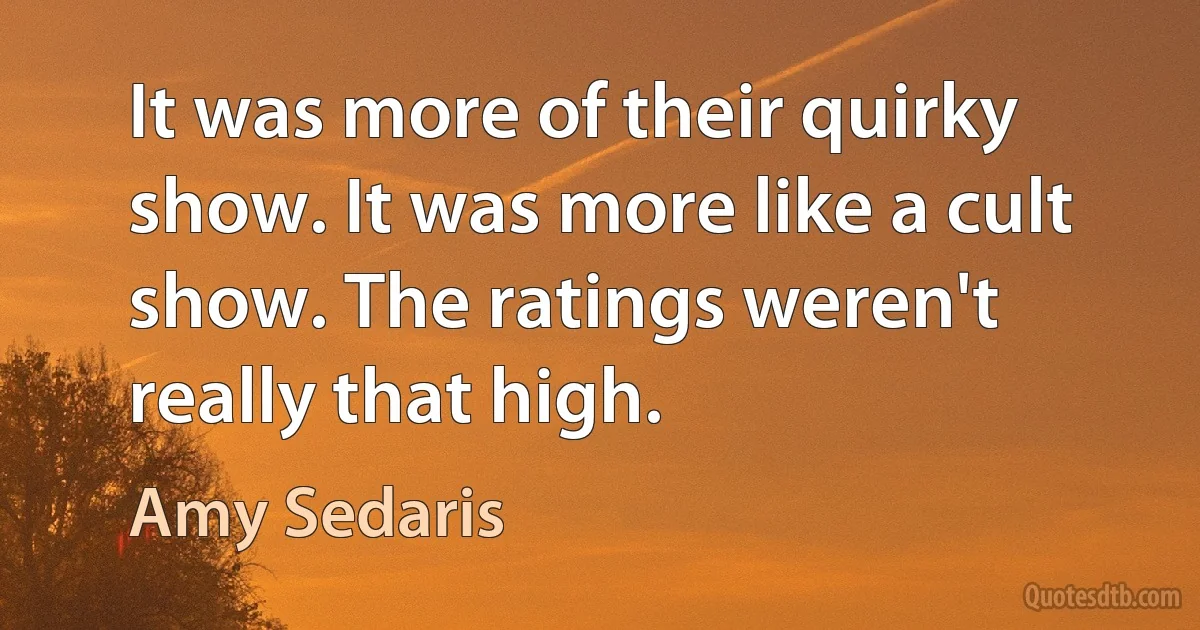 It was more of their quirky show. It was more like a cult show. The ratings weren't really that high. (Amy Sedaris)