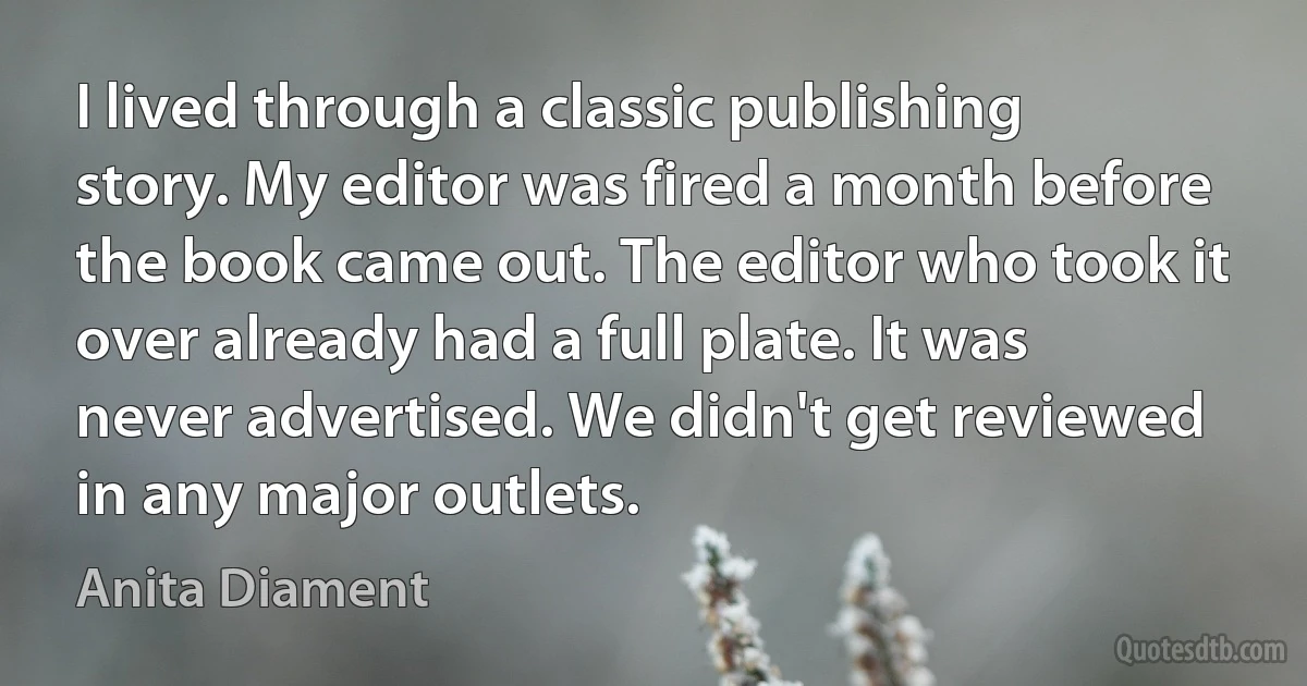 I lived through a classic publishing story. My editor was fired a month before the book came out. The editor who took it over already had a full plate. It was never advertised. We didn't get reviewed in any major outlets. (Anita Diament)