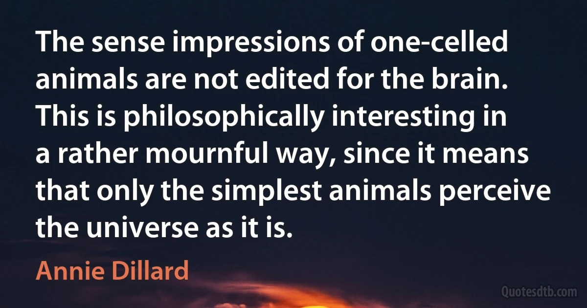 The sense impressions of one-celled animals are not edited for the brain. This is philosophically interesting in a rather mournful way, since it means that only the simplest animals perceive the universe as it is. (Annie Dillard)