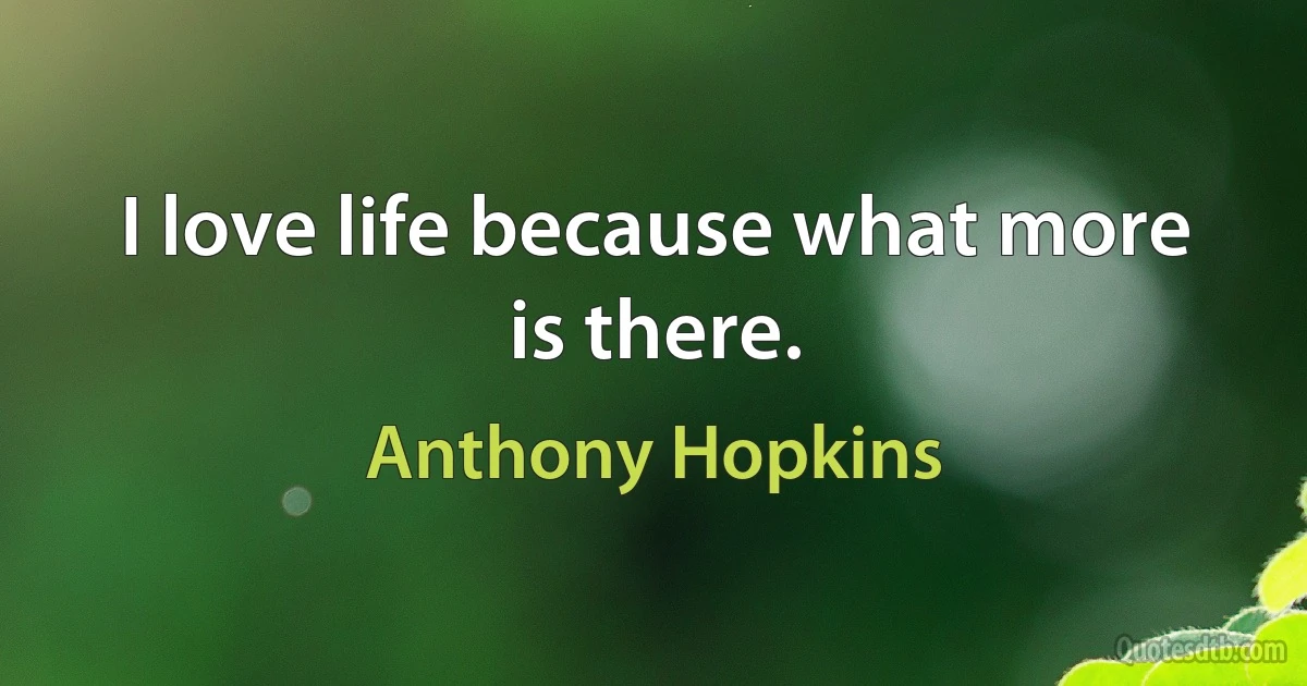 I love life because what more is there. (Anthony Hopkins)