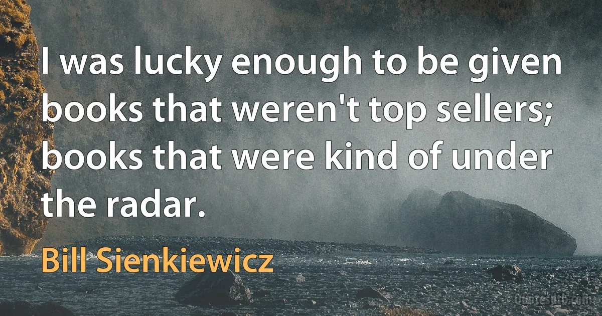 I was lucky enough to be given books that weren't top sellers; books that were kind of under the radar. (Bill Sienkiewicz)